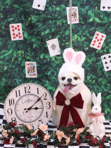 20250406くうくん